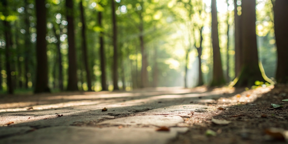 Trusted institutional pathways